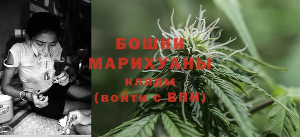сатива Приозерск
