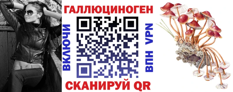 цены наркотик  Спасск-Рязанский  Псилоцибиновые грибы мицелий 